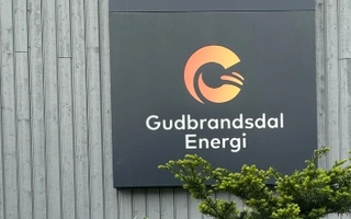 Bilde av logo til Gudbrandsdal Energi på veggen ute med blomster fremfor